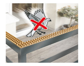 produit-anti-pigeon-casablanca