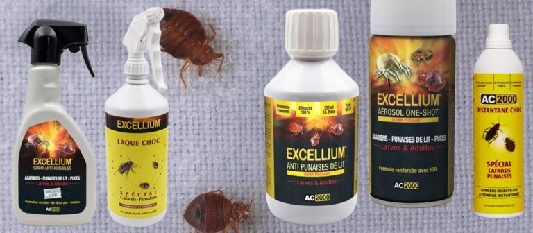 produit-punaise-de-lit-casablanca